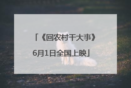 《回农村干大事》6月1日全国上映