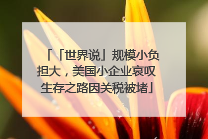 「世界说」规模小负担大，美国小企业哀叹生存之路因关税被堵