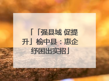 「强县域 促提升」榆中县：惠企纾困出实招