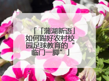 「蒲湖新语」如何踢好农村校园足球教育的“临门一脚”