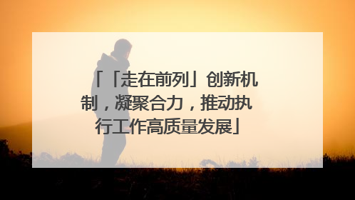 「走在前列」创新机制，凝聚合力，推动执行工作高质量发展