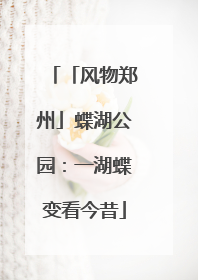 「风物郑州」蝶湖公园：一湖蝶变看今昔