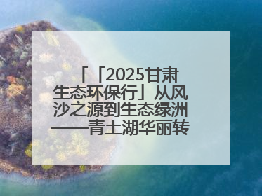 「2025甘肃生态环保行」从风沙之源到生态绿洲——青土湖华丽转身书写生态新篇