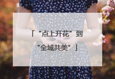 “点上开花”到“全域共美”