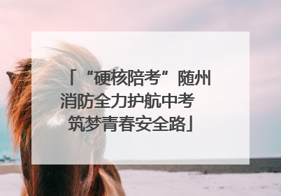 “硬核陪考”随州消防全力护航中考 筑梦青春安全路