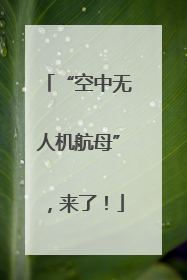 “空中无人机航母”，来了！