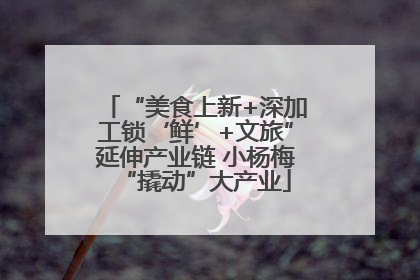 “美食上新+深加工锁‘鲜’+文旅”延伸产业链 小杨梅“撬动”大产业