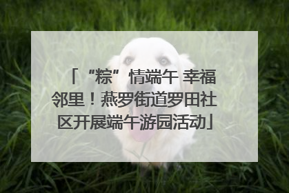 “粽”情端午 幸福邻里！燕罗街道罗田社区开展端午游园活动