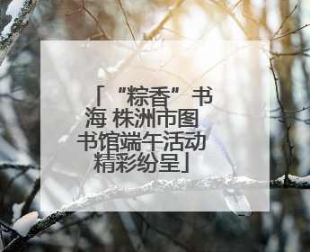 “粽香”书海 株洲市图书馆端午活动精彩纷呈