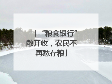 “粮食银行”敞开收，农民不再愁存粮