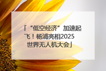 “低空经济”加速起飞！杨浦亮相2025世界无人机大会