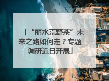 “丽水荒野茶”未来之路如何走？专题调研近日开展