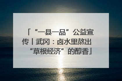 “一县一品”公益宣传丨武冈：卤水里熬出“草根经济”的醇香