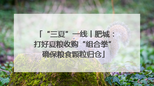 “三夏”一线丨肥城：打好夏粮收购“组合拳” 确保粮食颗粒归仓