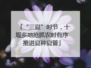 “三夏”时节，十堰多地抢抓农时有序推进夏种夏管