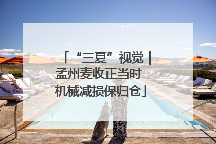 “三夏”视觉｜孟州麦收正当时 机械减损保归仓
