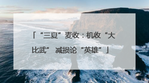 “三夏”麦收：机收“大比武” 减损论“英雄”