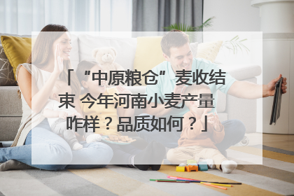 “中原粮仓”麦收结束 今年河南小麦产量咋样？品质如何？
