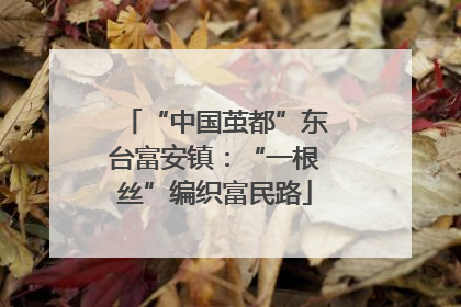 “中国茧都”东台富安镇：“一根丝”编织富民路