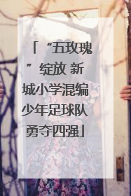 “五玫瑰”绽放 新城小学混编少年足球队勇夺四强