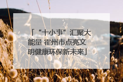 “十小事”汇聚大能量 霍州市点亮文明健康环保新未来