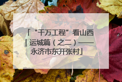 “千万工程”看山西｜运城篇（之二）——永济市东开张村