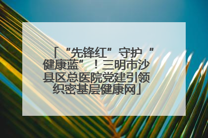 “先锋红”守护“健康蓝”！三明市沙县区总医院党建引领织密基层健康网
