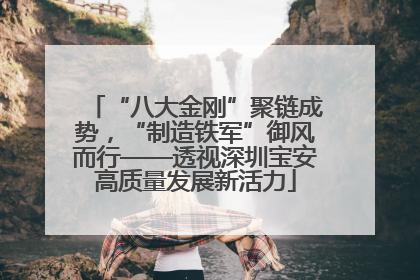 “八大金刚”聚链成势，“制造铁军”御风而行——透视深圳宝安高质量发展新活力