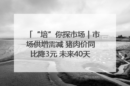 “培”你探市场｜市场供增需减 猪肉价同比降3元 未来40天便宜猪肉敞开吃