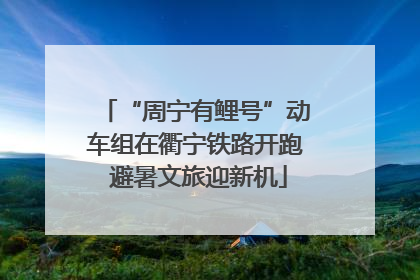 “周宁有鲤号”动车组在衢宁铁路开跑 避暑文旅迎新机