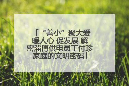 “善小”聚大爱 暖人心 促发展 解密淄博供电员工付珍家庭的文明密码
