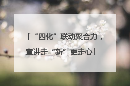 “四化”联动聚合力，宣讲走“新”更走心