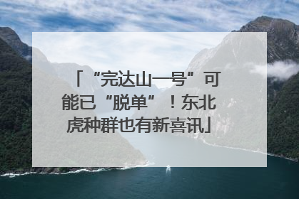 “完达山一号”可能已“脱单”！东北虎种群也有新喜讯