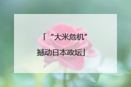 “大米危机”撼动日本政坛