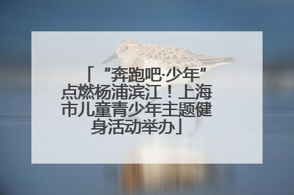 “奔跑吧·少年”点燃杨浦滨江！上海市儿童青少年主题健身活动举办