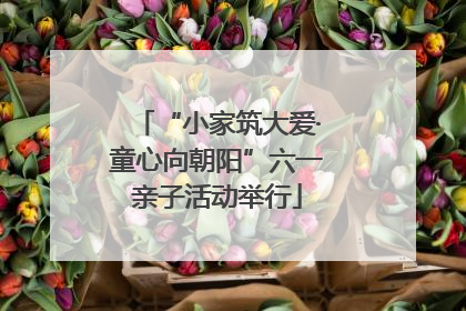 “小家筑大爱·童心向朝阳”六一亲子活动举行