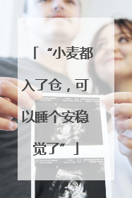 “小麦都入了仓，可以睡个安稳觉了”
