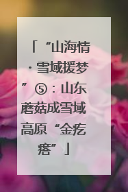 “山海情・雪域援梦”⑤：山东蘑菇成雪域高原“金疙瘩”