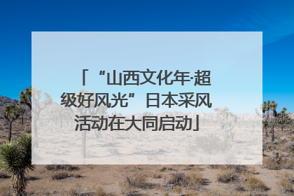 “山西文化年·超级好风光”日本采风活动在大同启动