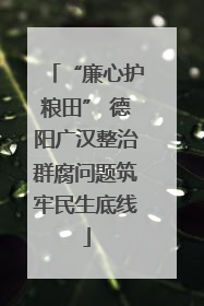 “廉心护粮田” 德阳广汉整治群腐问题筑牢民生底线
