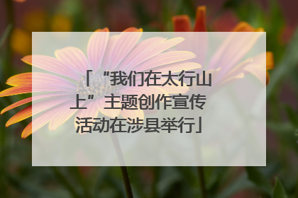 “我们在太行山上”主题创作宣传活动在涉县举行