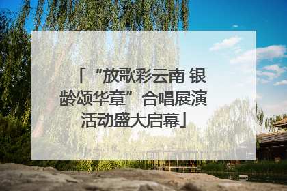 “放歌彩云南 银龄颂华章”合唱展演活动盛大启幕