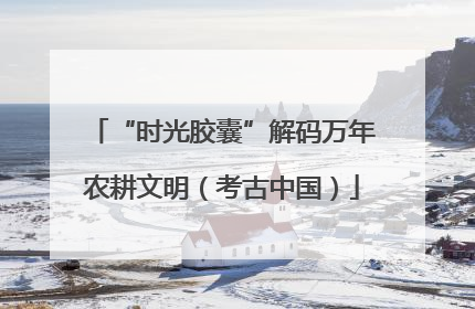 “时光胶囊”解码万年农耕文明（考古中国）