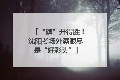 “旗”开得胜！沈阳考场外满眼尽是“好彩头”