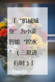 “机械城堡”为小麦智能“控水”（三夏进行时）
