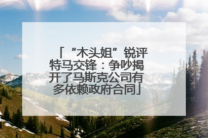 “木头姐”锐评特马交锋：争吵揭开了马斯克公司有多依赖政府合同