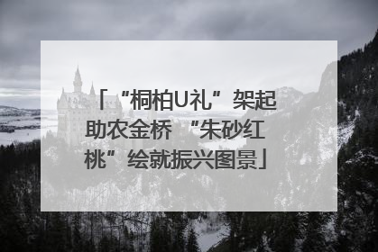 “桐柏U礼”架起助农金桥 “朱砂红桃”绘就振兴图景