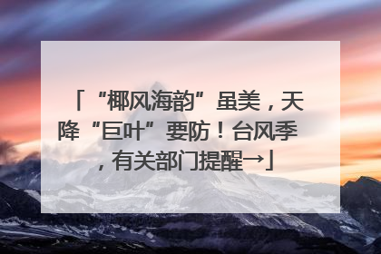 “椰风海韵”虽美，天降“巨叶”要防！台风季，有关部门提醒→