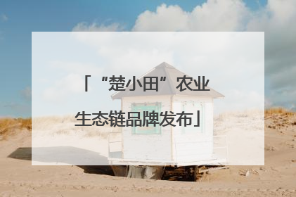 “楚小田”农业生态链品牌发布