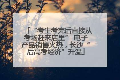 “考生考完后直接从考场赶来店里” 电子产品销售火热，长沙“后高考经济”升温